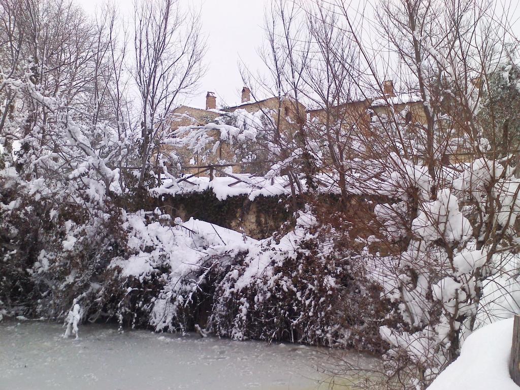 Agriturismo Cerreto ปีเอนซา ภายนอก รูปภาพ