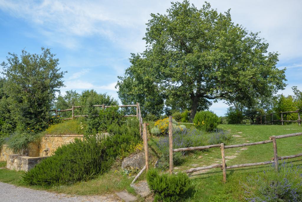 Agriturismo Cerreto ปีเอนซา ภายนอก รูปภาพ