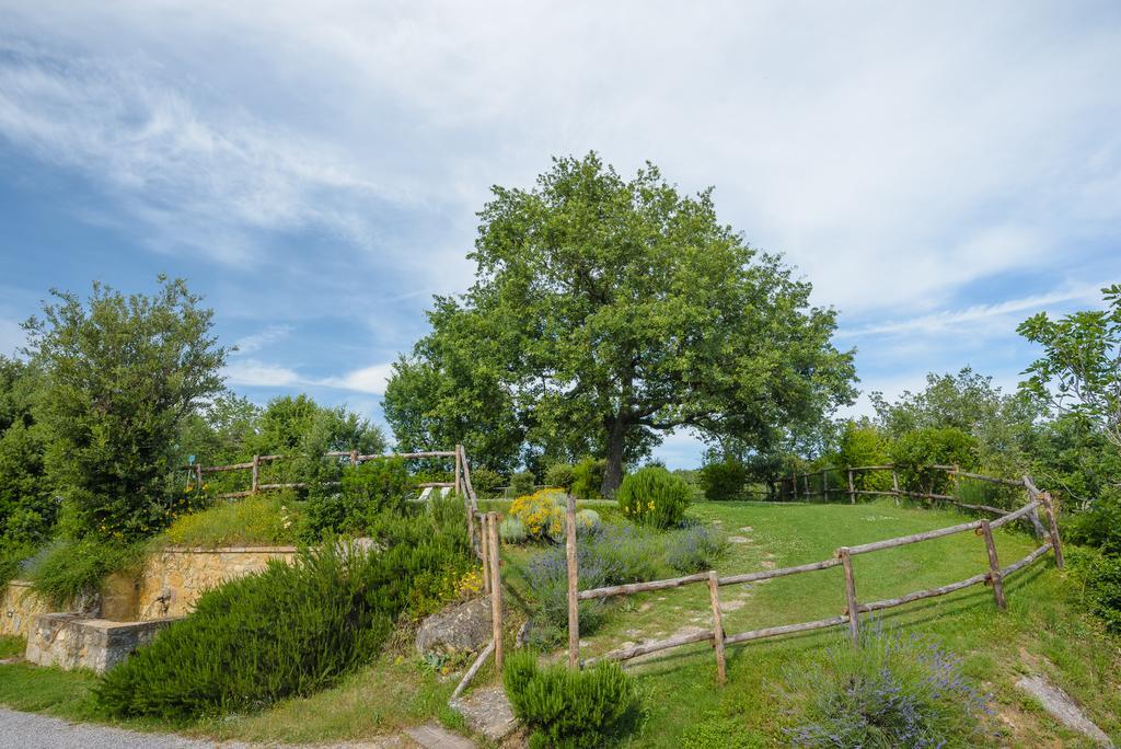Agriturismo Cerreto ปีเอนซา ภายนอก รูปภาพ