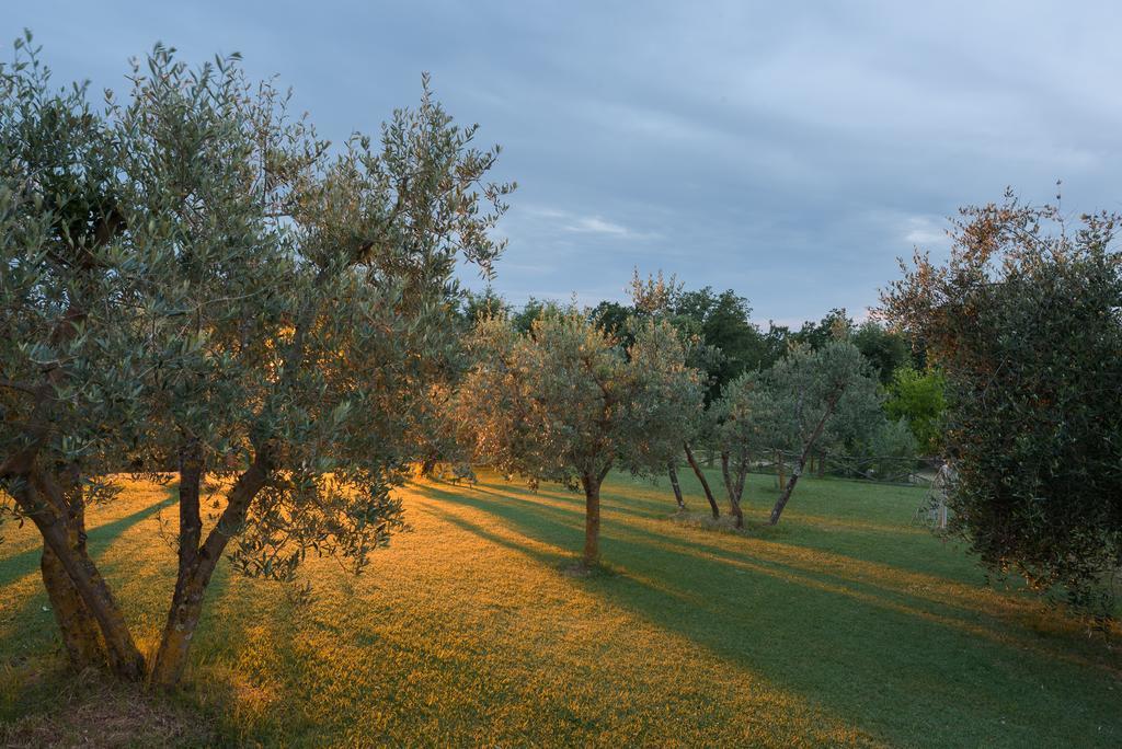 Agriturismo Cerreto ปีเอนซา ภายนอก รูปภาพ